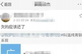 海丰如何避免债务纠纷？专业追讨公司教您应对之策